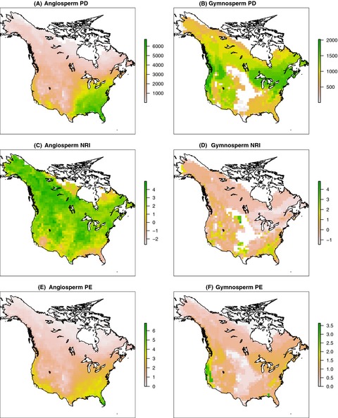 Phylogenetic assemblage structure of North American trees is more strongly shaped by glacial–interglacial climate variability in gymnosperms than in angiosperms