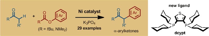 Nickel-Catalyzed α-Arylation of Ketones with Phenol Derivatives