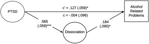 Dissociative symptomatology mediates the relation between posttraumatic stress disorder severity and alcohol-related problems