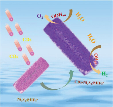 CDs Regulated Sulfur-Based Flexible Electrode with Range pH Values for Efficient and Durable Hydrogen Evolution Reaction