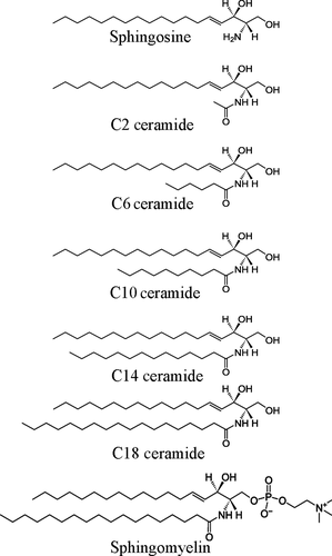 Details are in the caption following the image