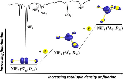Searching for Monomeric Nickel Tetrafluoride: Unravelling Infrared Matrix Isolation Spectra of Higher Nickel Fluorides
