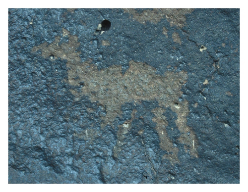 Details are in the caption following the image