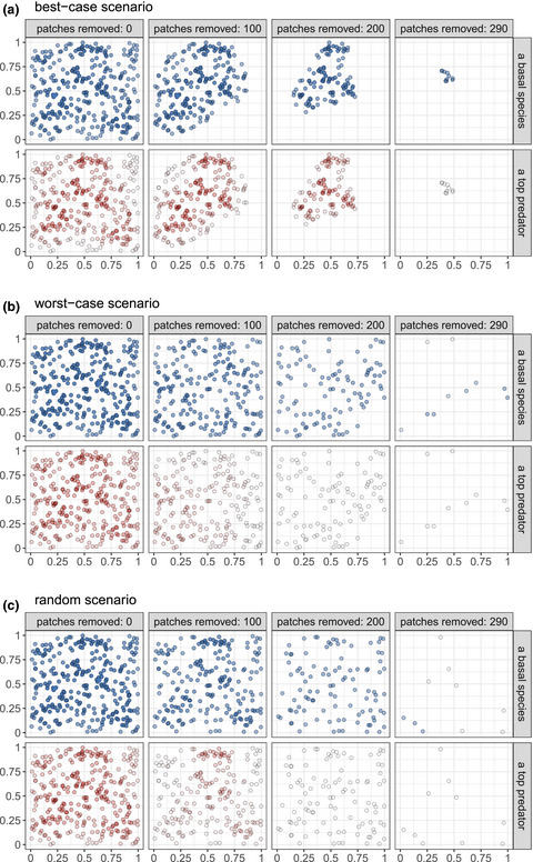 A Bayesian network approach to trophic metacommunities shows that habitat loss accelerates top species extinctions