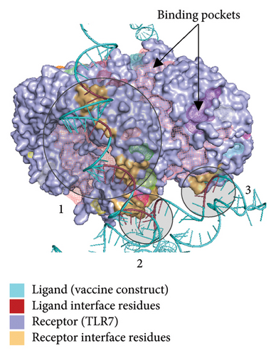 Details are in the caption following the image Details are in the caption following the image