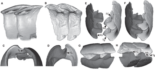 Details are in the caption following the image