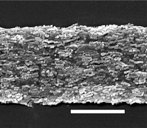 Preparation of Higher-Order Zeolite Materials by Using Dextran Templating