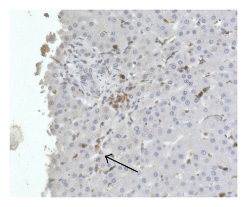Details are in the caption following the image