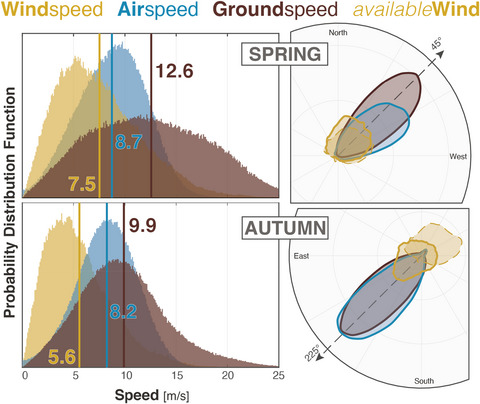 Favorable winds speed up bird migration in spring but not in autumn
