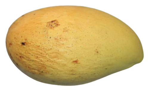 Details are in the caption following the image