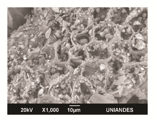 Details are in the caption following the image