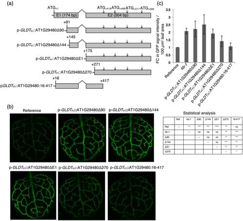 Details are in the caption following the image Details are in the caption following the image