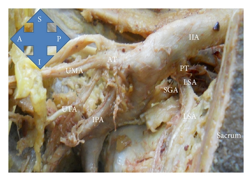 Details are in the caption following the image Details are in the caption following the image