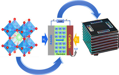 Materials development and prospective for protonic ceramic fuel cells