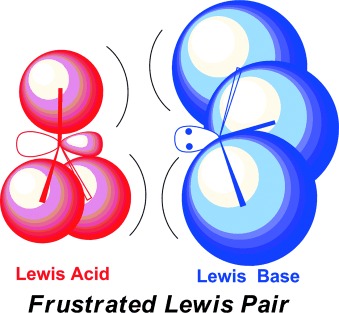 Frustrated Lewis Pair Chemistry: Development and Perspectives
