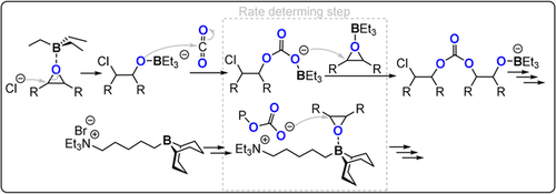 Details are in the caption following the image
