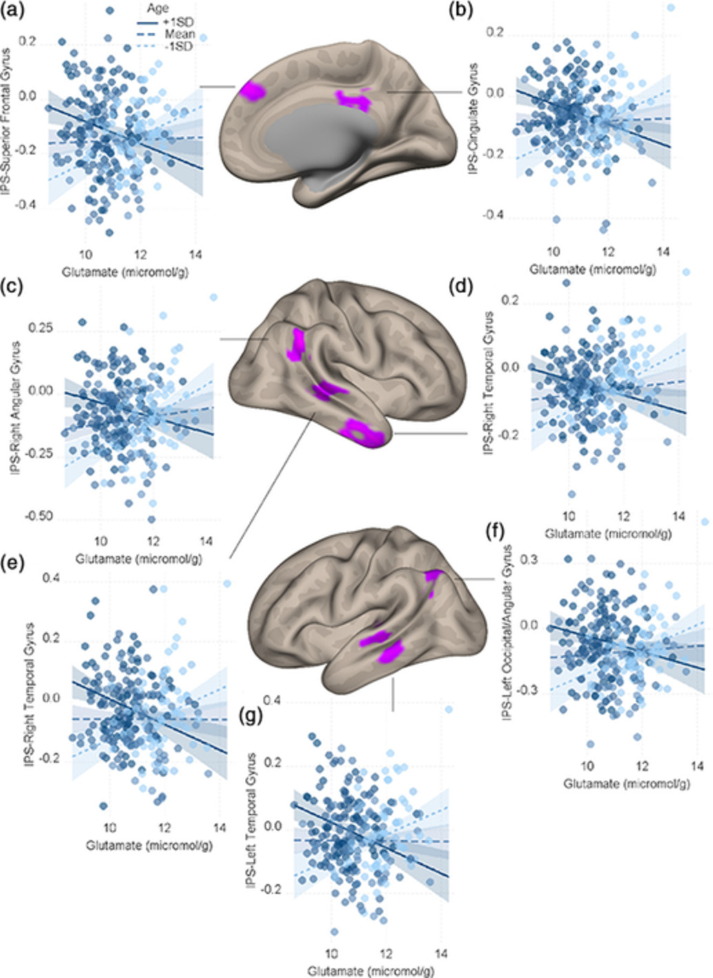 The cross-sectional interplay between neurochemical profile and brain connectivity