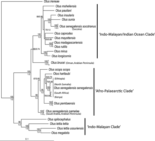 Details are in the caption following the image Details are in the caption following the image