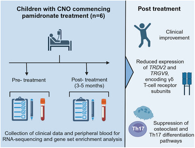 Pamidronate-Induced Clinical Remission in Chronic Non-bacterial Osteomyelitis Is Associated with Reduced Vγ9Vδ2 T-Cell Receptor Expression
