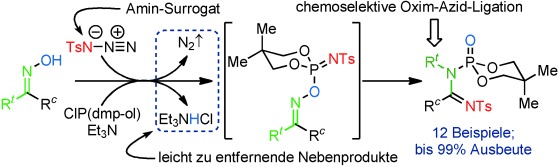 Amine-Free Approach toward N-Toluenesulfonyl Amidine Construction: A Phosphite-Mediated Beckmann-Like Coupling of Oximes and p-Toluenesulfonyl Azide