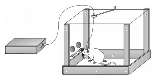 Details are in the caption following the image