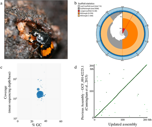 Details are in the caption following the image Details are in the caption following the image