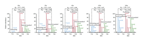 Details are in the caption following the image Details are in the caption following the image