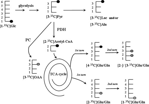 Details are in the caption following the image