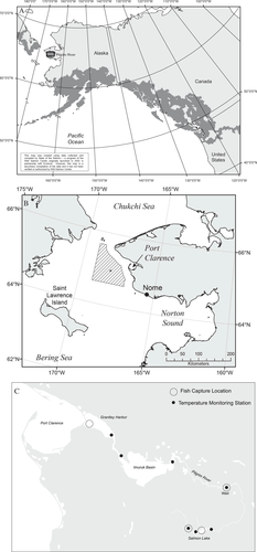 Details are in the caption following the image