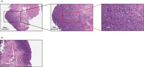 Details are in the caption following the image Details are in the caption following the image