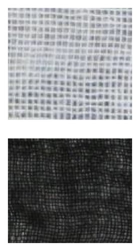 Details are in the caption following the image