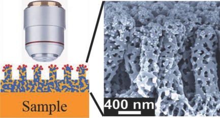 Advanced SERS Sensor Based on Capillarity-Assisted Preconcentration through Gold Nanoparticle-Decorated Porous Nanorods