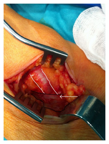 Details are in the caption following the image Details are in the caption following the image