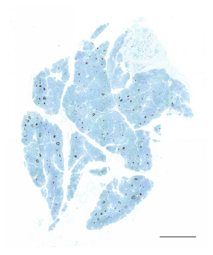 Details are in the caption following the image