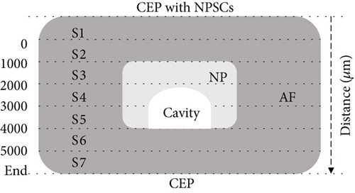 Details are in the caption following the image Details are in the caption following the image