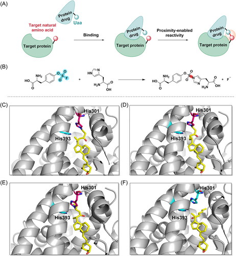 Details are in the caption following the image Details are in the caption following the image