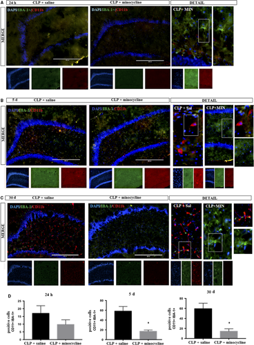 Details are in the caption following the image Details are in the caption following the image