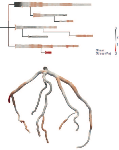 Details are in the caption following the image
