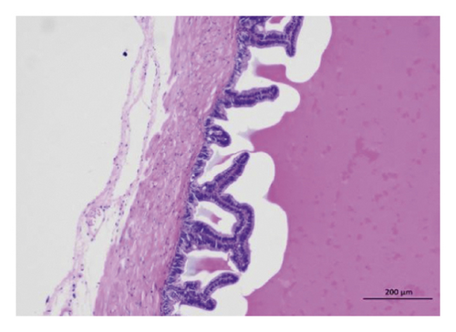 Details are in the caption following the image