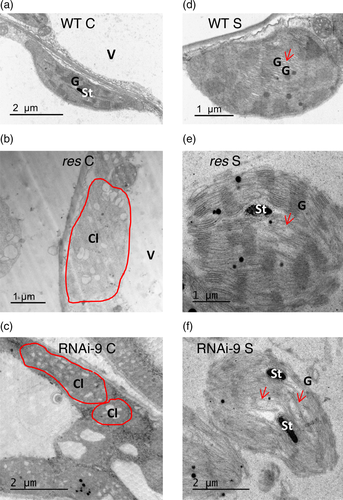 Details are in the caption following the image