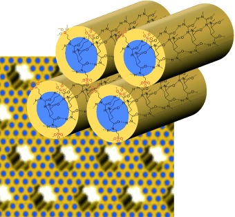 Periodic Mesoporous Organosilica with Molecular-Scale Ordering Self-Assembled by Hydrogen Bonds