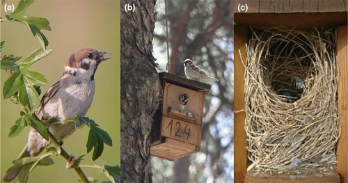 Details are in the caption following the image Details are in the caption following the image