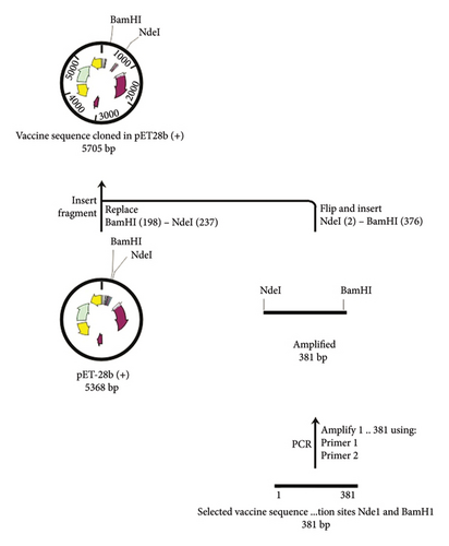 Details are in the caption following the image