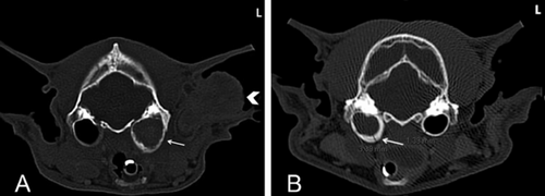 Details are in the caption following the image Details are in the caption following the image