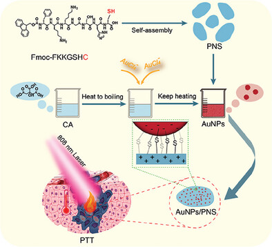 Gold Nanoparticles-Modified 2D Self-Assembled Amphiphilic Peptide Nanosheets with High Biocompatibility and Photothermal Therapy Efficiency