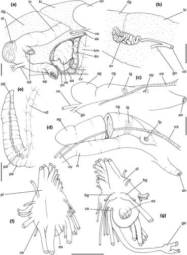 Details are in the caption following the image Details are in the caption following the image
