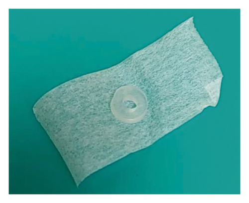 Details are in the caption following the image Details are in the caption following the image