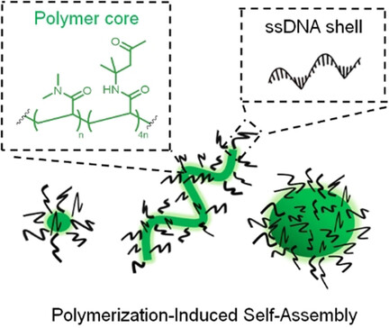 DNA–Polymer Nanostructures by RAFT Polymerization and Polymerization-Induced Self-Assembly