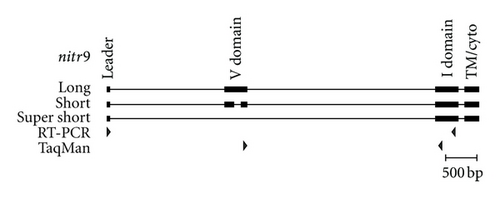 Details are in the caption following the image Details are in the caption following the image