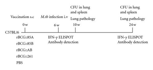 Details are in the caption following the image